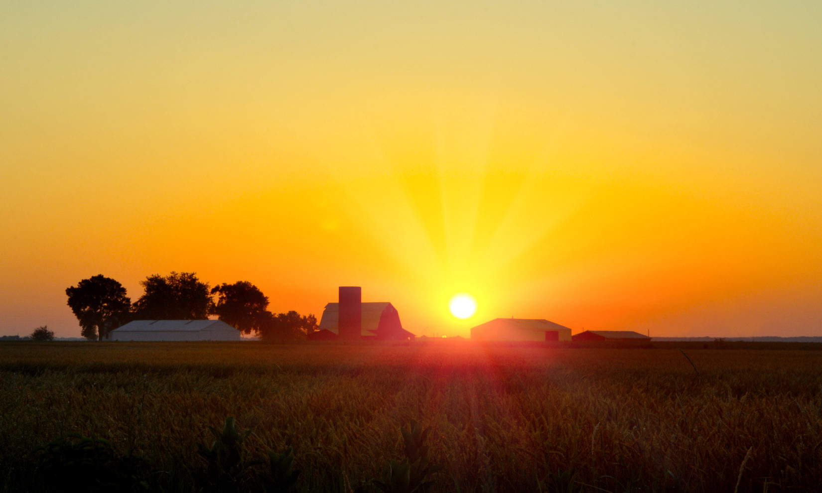 Home Sloan State Bank
