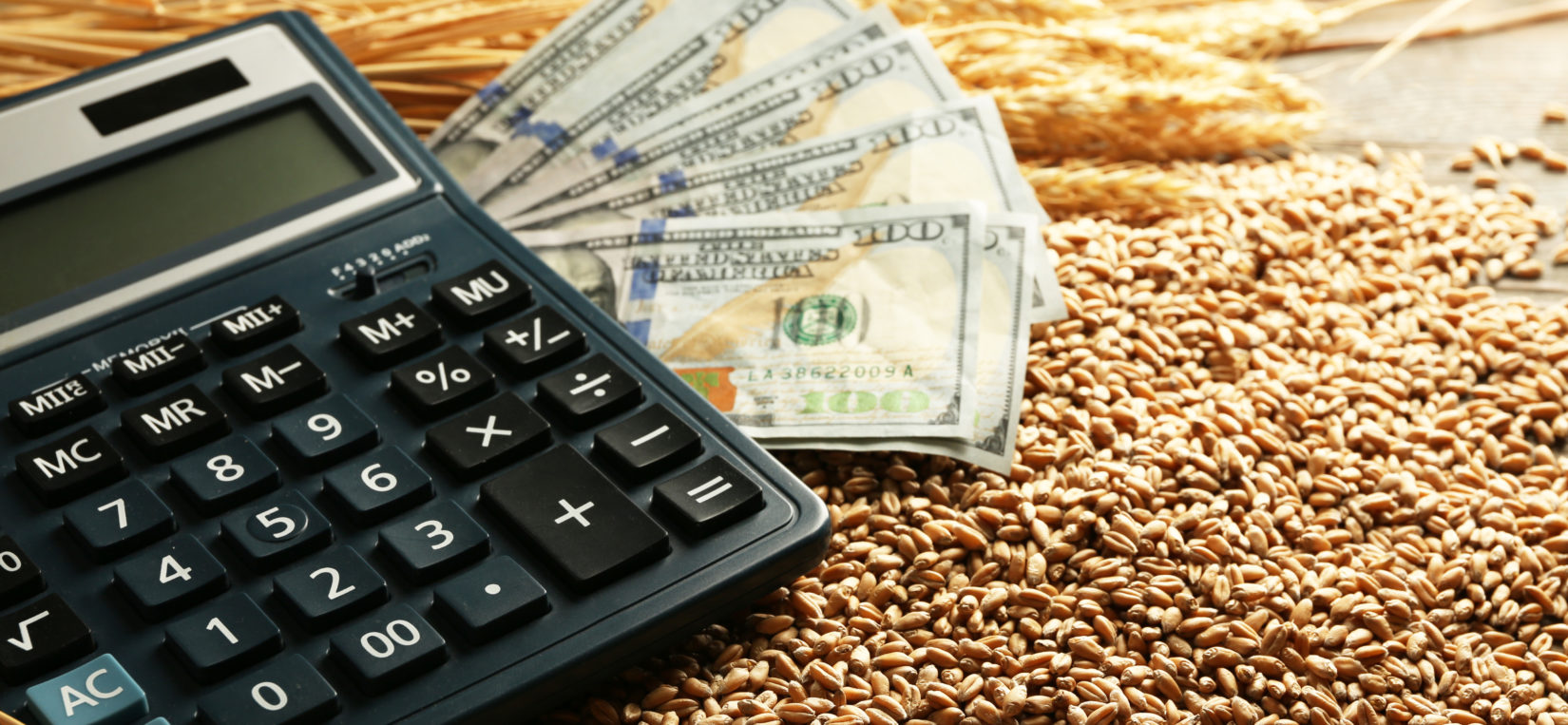 Loans Sloan State Bank